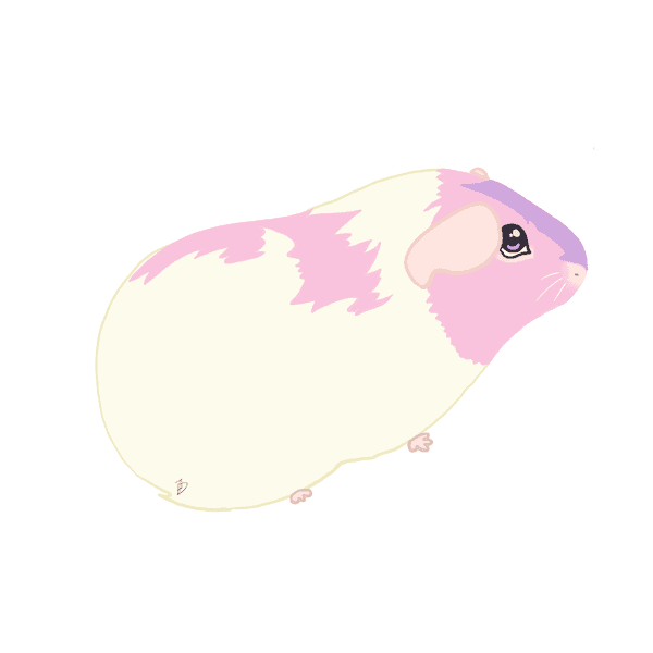 Guinea Pig Art Shop